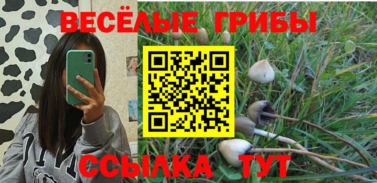 Галлюциногенные грибы Cubensis  Вход с VPN  Псилоцибиновые грибы Psilocybe  Верхняя Пышма 